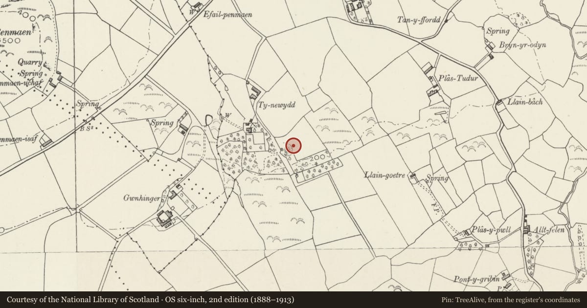 Ordnance Survey six-inch map, 2nd edition (1888–1913) covering the location of Ty-Newydd Mound & Bailey Castle, Llannor, Gwynedd, with a pin at the register's coordinates
