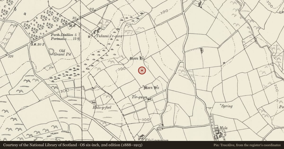 Ordnance Survey six-inch map, 2nd edition (1888–1913) covering the location of Tirgwyn Standing Stones, Llannor, Gwynedd, with a pin at the register's coordinates