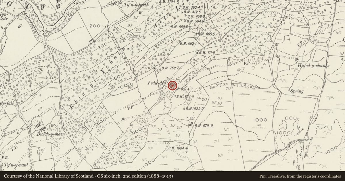 Ordnance Survey six-inch map, 2nd edition (1888–1913) covering the location of Fedw Deg Medieval House, Bro Machno, Conwy, with a pin at the register's coordinates