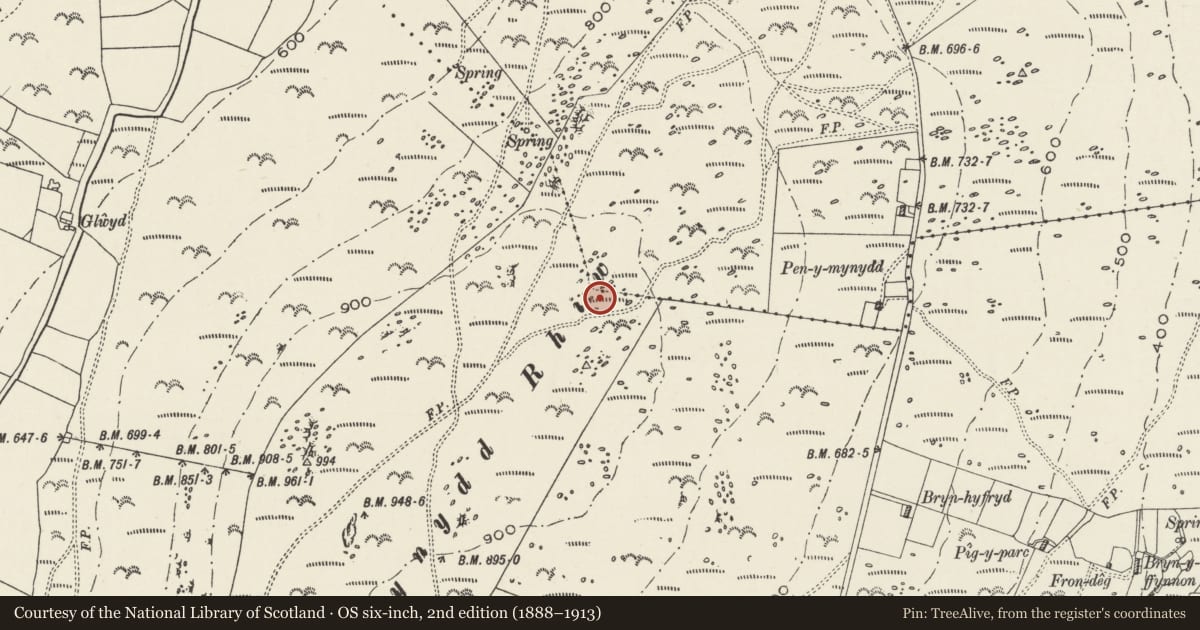 Ordnance Survey six-inch map, 2nd edition (1888–1913) covering the location of Mynydd Rhiw Round Cairns, Botwnnog, Gwynedd, with a pin at the register's coordinates
