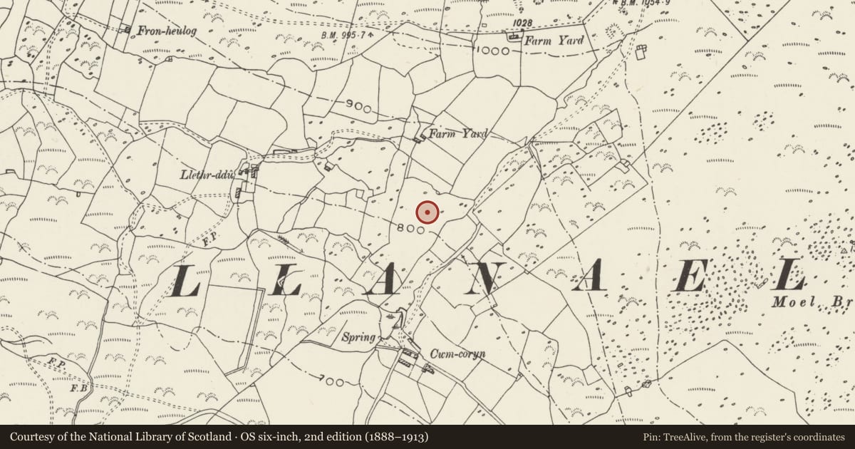 Ordnance Survey six-inch map, 2nd edition (1888–1913) covering the location of Hut Group and Field System South East of Farm Yard, Llanaelhaearn, Gwynedd, with a pin at the register's coordinates