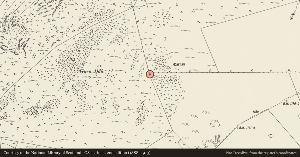 Ordnance Survey six-inch map, 2nd edition (1888–1913) covering the location of Two Round Cairns E of Gyrn Ddu, Llanaelhaearn, Gwynedd, with a pin at the register's coordinates