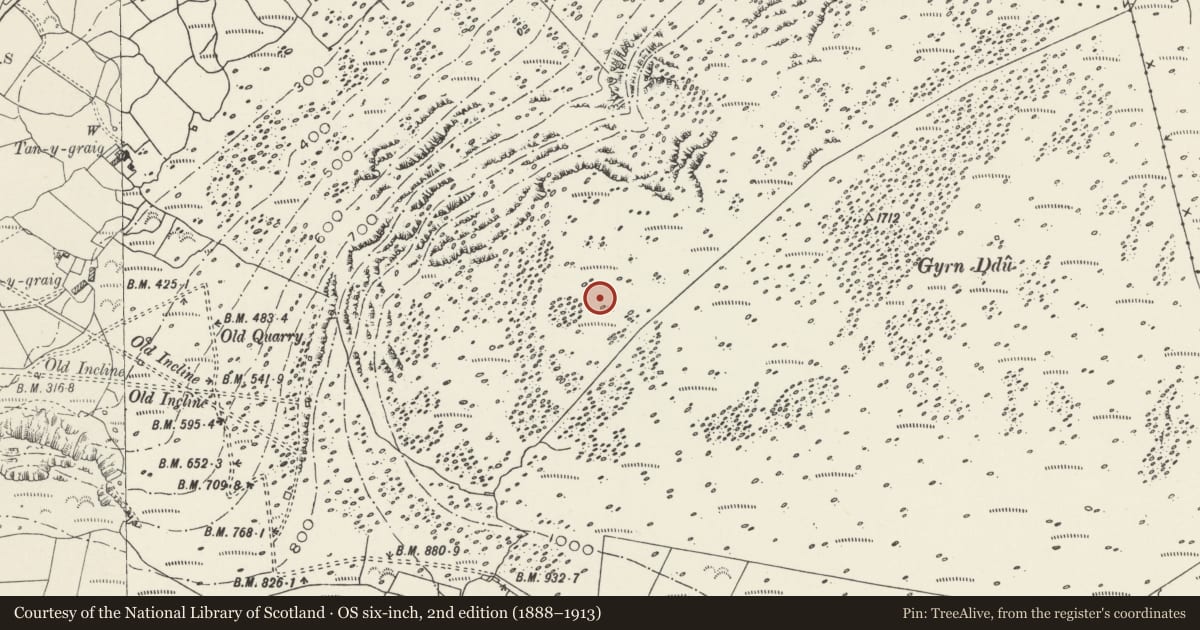 Ordnance Survey six-inch map, 2nd edition (1888–1913) covering the location of Hut Group West of Gyrn Ddu, Llanaelhaearn, Gwynedd, with a pin at the register's coordinates