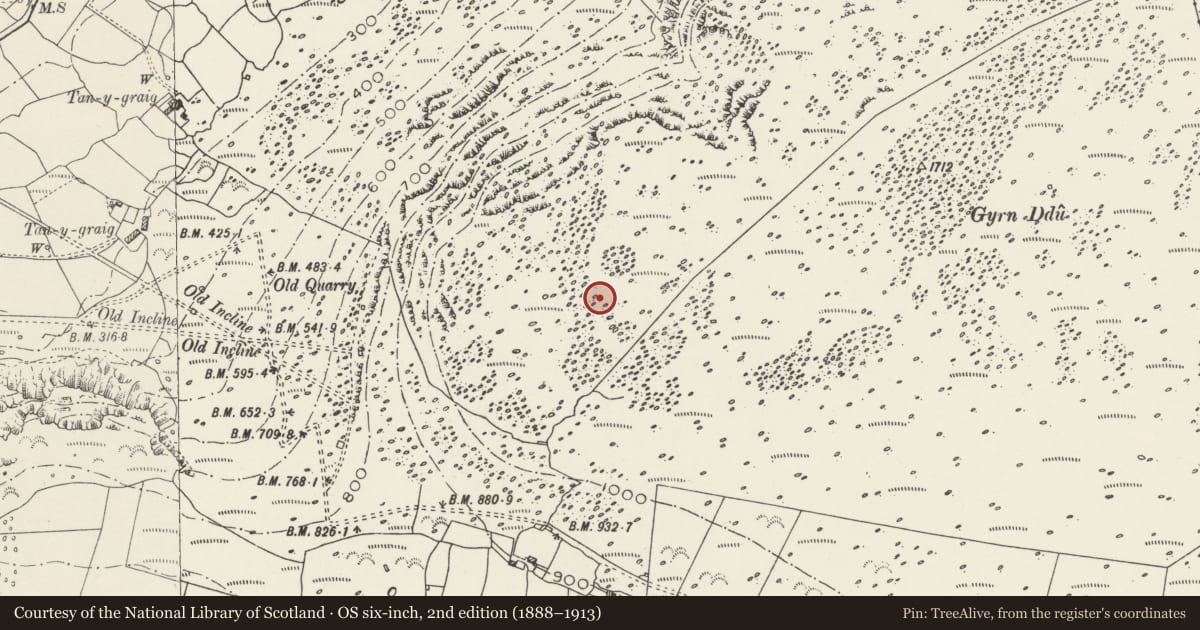 Ordnance Survey six-inch map, 2nd edition (1888–1913) covering the location of Round Cairn West of Gyrn Ddu, Llanaelhaearn, Gwynedd, with a pin at the register's coordinates