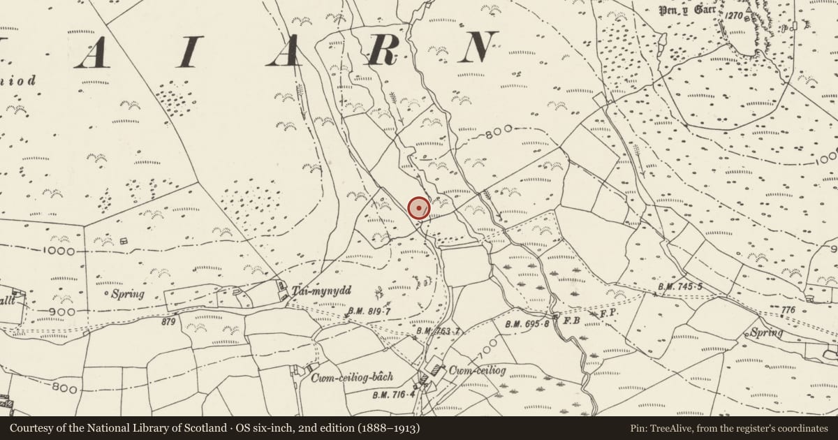 Ordnance Survey six-inch map, 2nd edition (1888–1913) covering the location of Hut Group North of Cwmceiliog, Llanaelhaearn, Gwynedd, with a pin at the register's coordinates