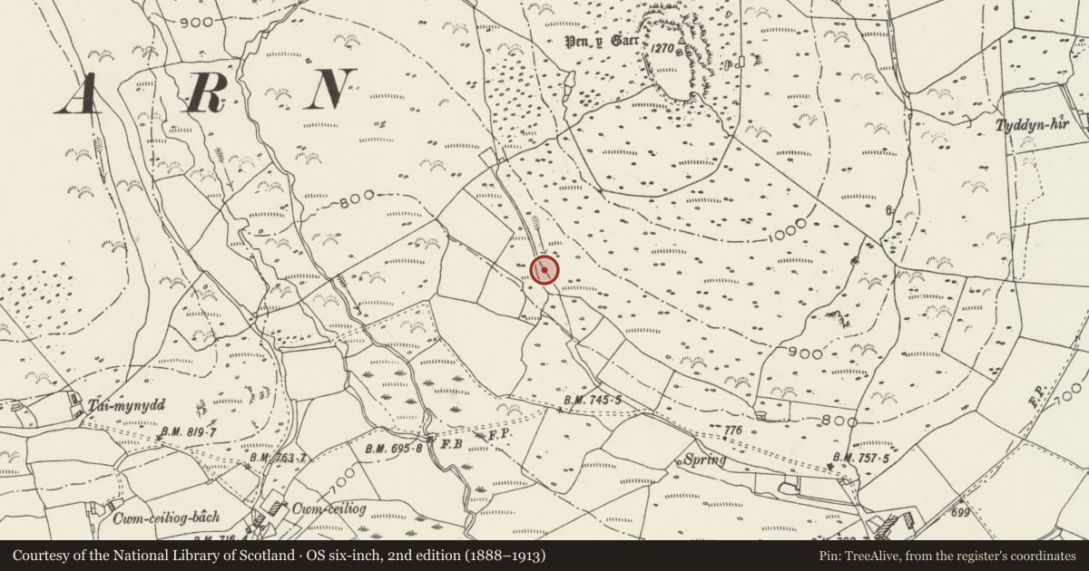 Ordnance Survey six-inch map, 2nd edition (1888–1913) covering the location of Hut Group & Field System North West of Tyddyn Mawr (previously known as Hut Group NW of Tyddyn Mawr), Llanaelhaearn, Gwynedd, with a pin at the register's coordinates