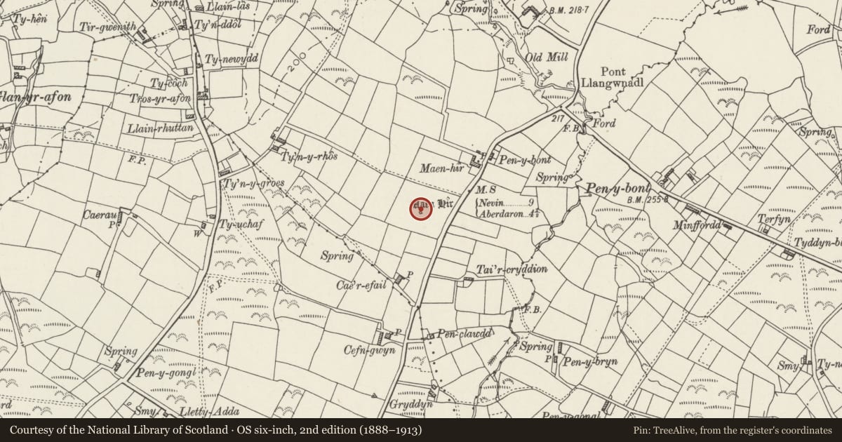 Ordnance Survey six-inch map, 2nd edition (1888–1913) covering the location of Llangwnadl Standing Stone, Tudweiliog, Gwynedd, with a pin at the register's coordinates