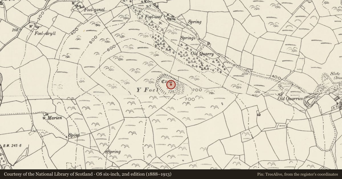 Ordnance Survey six-inch map, 2nd edition (1888–1913) covering the location of Y Foel Camp, Clynnog, Gwynedd, with a pin at the register's coordinates