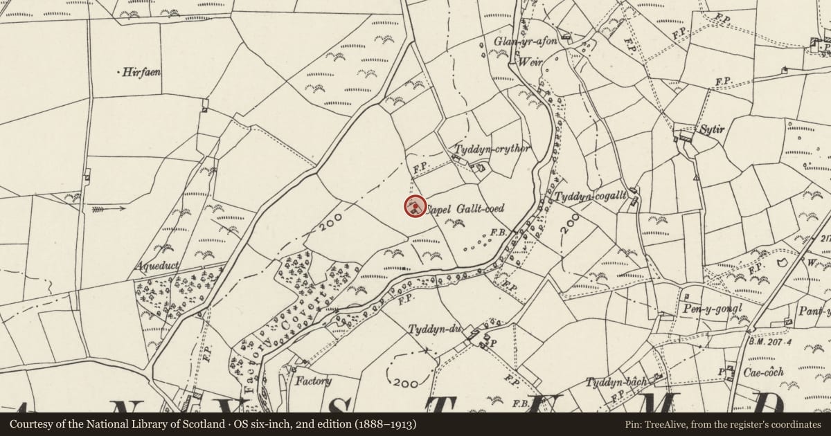 Ordnance Survey six-inch map, 2nd edition (1888–1913) covering the location of Capel Gallt-Coed, Llanystumdwy, Gwynedd, with a pin at the register's coordinates