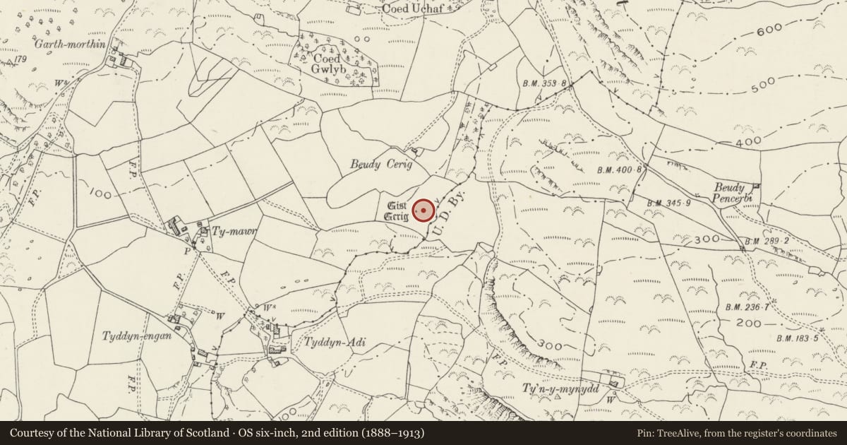 Ordnance Survey six-inch map, 2nd edition (1888–1913) covering the location of Cist Cerrig Burial Chamber & Cup Marked Rock, Dolbenmaen, Gwynedd, with a pin at the register's coordinates