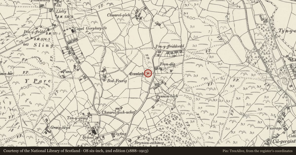 Ordnance Survey six-inch map, 2nd edition (1888–1913) covering the location of Sling Burial Chamber, Llandygai, Gwynedd, with a pin at the register's coordinates