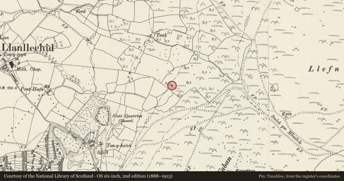 Ordnance Survey six-inch map, 2nd edition (1888–1913) covering the location of Early Fields and Dwellings East of Llanllechid, Gwynedd, with a pin at the register's coordinates
