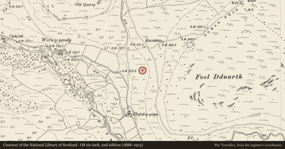 Ordnance Survey six-inch map, 2nd edition (1888–1913) covering the location of Hut Group W of Foel Dduarth, Aber, Gwynedd, with a pin at the register's coordinates