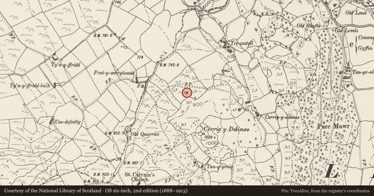 Ordnance Survey six-inch map, 2nd edition (1888–1913) covering the location of Hut Groups N of Cerrig y Dinas, Henryd, Conwy, with a pin at the register's coordinates
