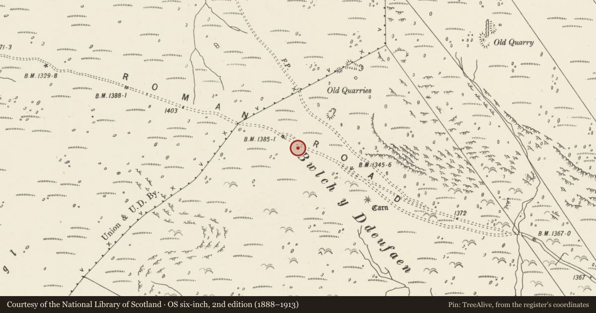 Ordnance Survey six-inch map, 2nd edition (1888–1913) covering the location of Bwlch y Ddeufaen Standing Stones, Caerhun, Conwy, with a pin at the register's coordinates