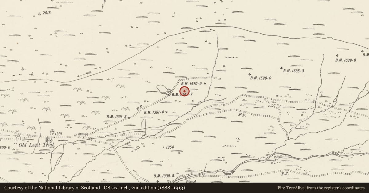 Ordnance Survey six-inch map, 2nd edition (1888–1913) covering the location of Huts & Enclosures in Cwm Caseg, Llanllechid, Gwynedd, with a pin at the register's coordinates