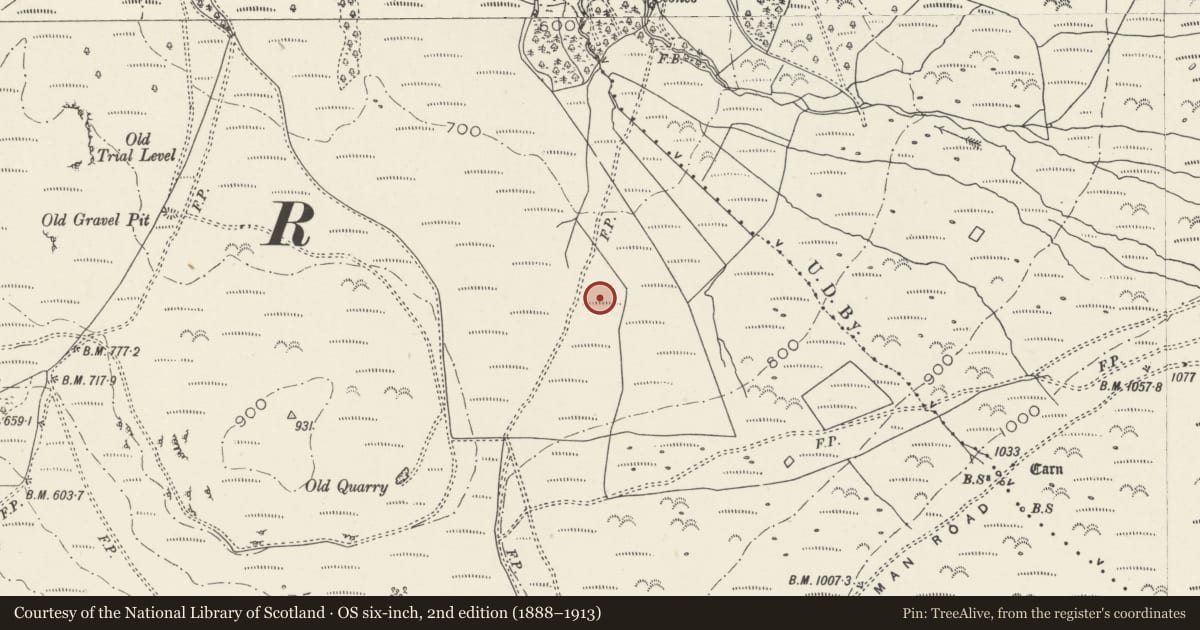 Ordnance Survey six-inch map, 2nd edition (1888–1913) covering the location of Hut Group 750m SE of Bod Silin, Aber, Gwynedd, with a pin at the register's coordinates