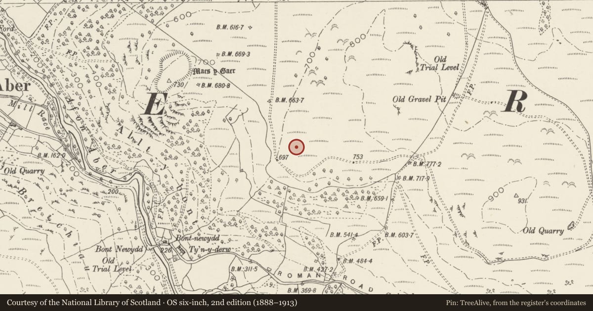 Ordnance Survey six-inch map, 2nd edition (1888–1913) covering the location of Medieval Homestead 400m SE of Maes y Gaer, Aber, Gwynedd, with a pin at the register's coordinates