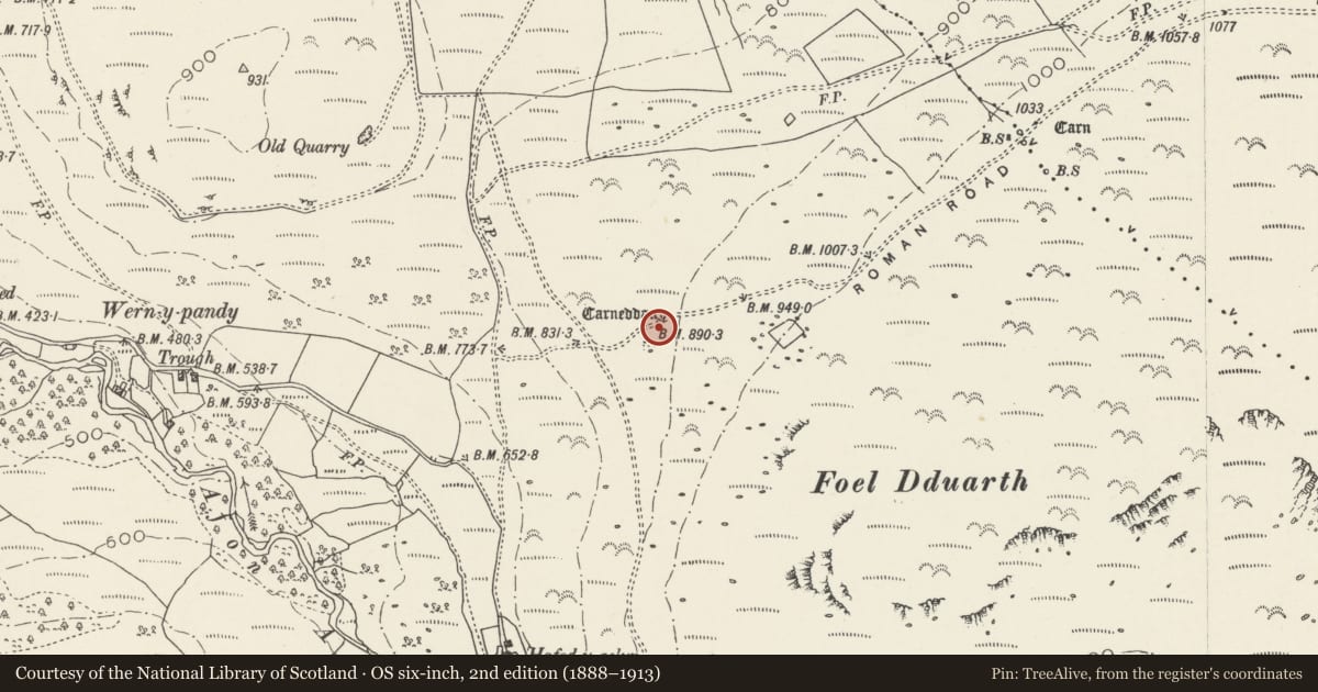 Ordnance Survey six-inch map, 2nd edition (1888–1913) covering the location of Carnedd y Saeson & Neighbouring Cairns NW of Foel Dduarth, Aber, Gwynedd, with a pin at the register's coordinates