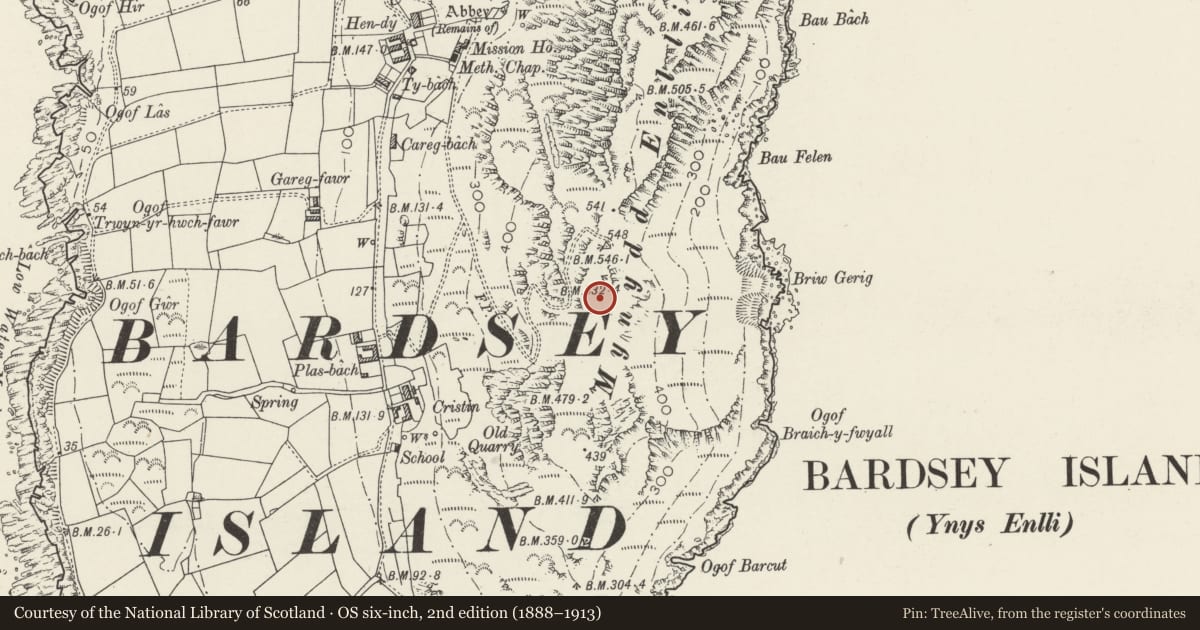 Ordnance Survey six-inch map, 2nd edition (1888–1913) covering the location of Mynydd Enlli Round Barrow, Bardsey Island, Aberdaron, Gwynedd, with a pin at the register's coordinates