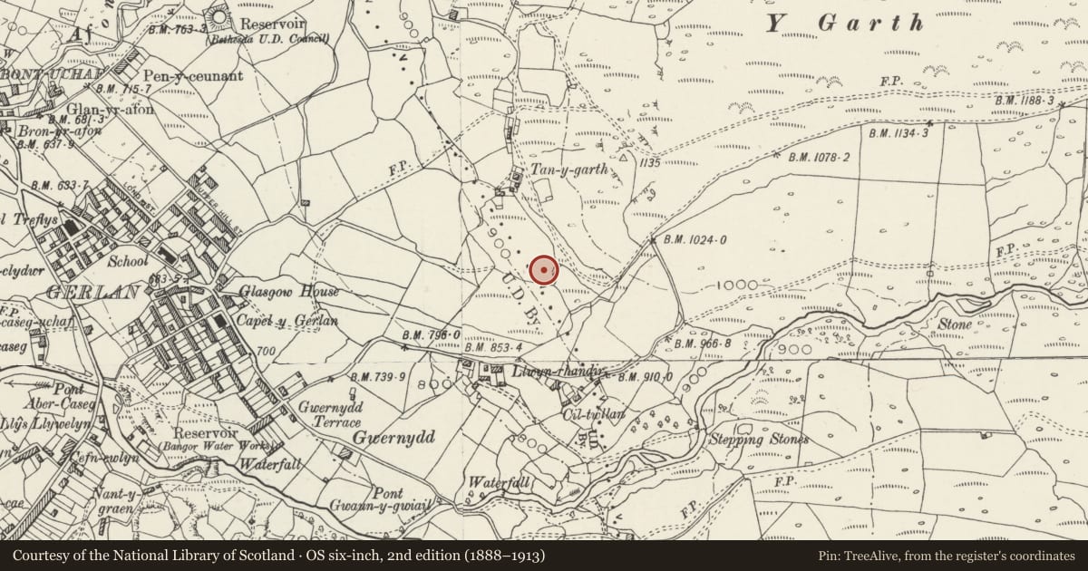 Ordnance Survey six-inch map, 2nd edition (1888–1913) covering the location of Settlement between Cil-Twllan and Tan-y-Garth, Llanllechid, Gwynedd, with a pin at the register's coordinates