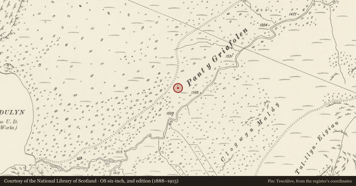 Ordnance Survey six-inch map, 2nd edition (1888–1913) covering the location of Pant y Griafolen Huts and Enclosures, Caerhun, Conwy, with a pin at the register's coordinates