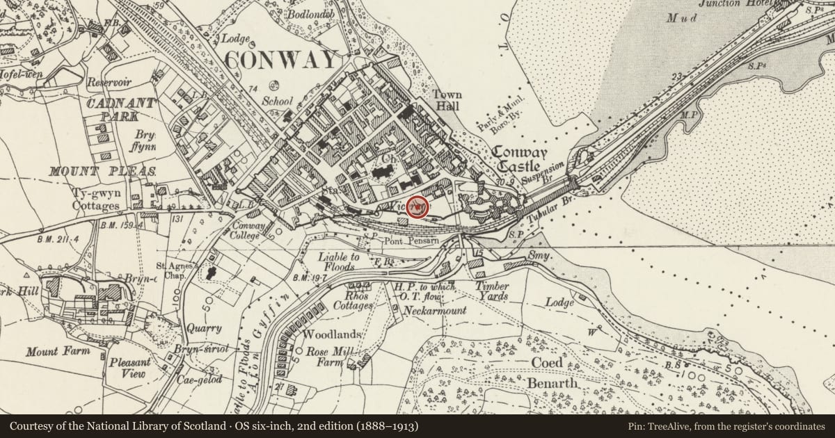 Ordnance Survey six-inch map, 2nd edition (1888–1913) covering the location of Site of Medieval King's Hall and Wardrobe, Rosehill Street, Conwy, with a pin at the register's coordinates