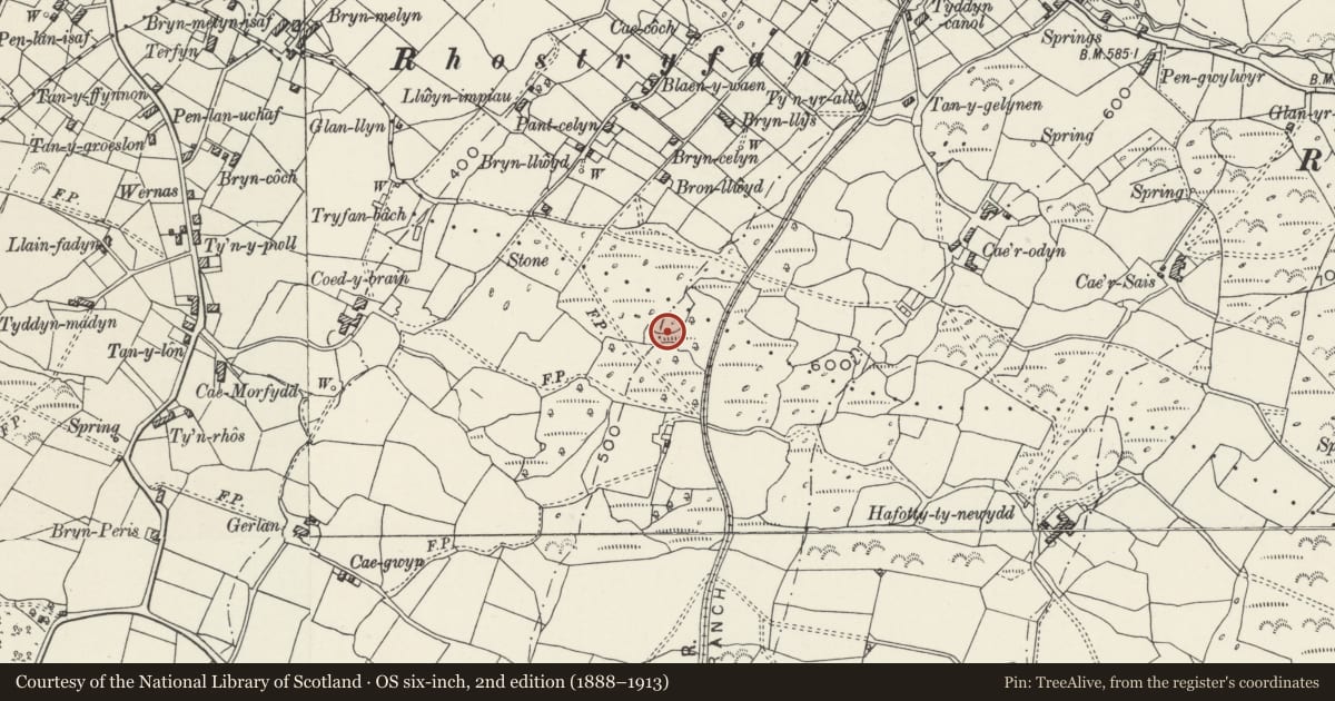 Ordnance Survey six-inch map, 2nd edition (1888–1913) covering the location of Hut Group and Field System E of Coed-y-Brain, Llanwnda, Gwynedd, with a pin at the register's coordinates