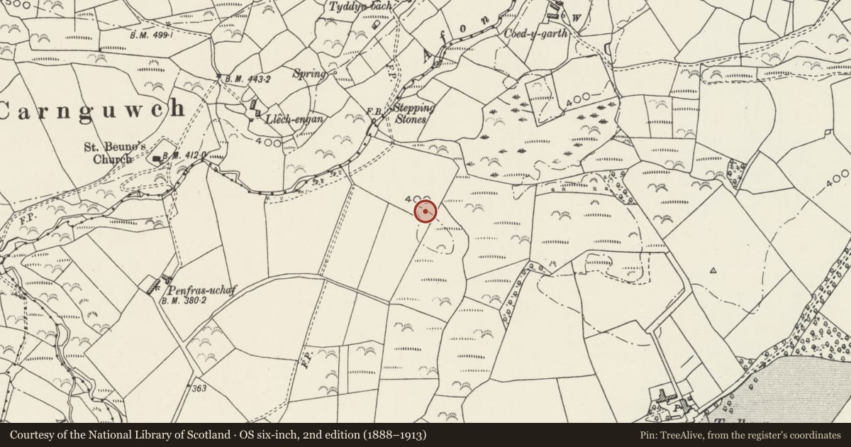 Ordnance Survey six-inch map, 2nd edition (1888–1913) covering the location of Standing Stone NW of Trallwyn, Llannor, Gwynedd, with a pin at the register's coordinates