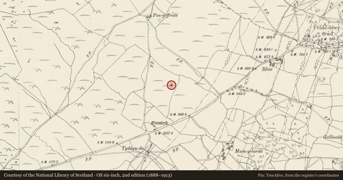 Ordnance Survey six-inch map, 2nd edition (1888–1913) covering the location of Early Fields and Dwellings near Maen-y-Bardd, Caerhun, Conwy, with a pin at the register's coordinates