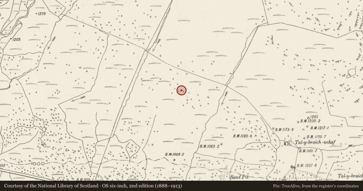 Ordnance Survey six-inch map, 2nd edition (1888–1913) covering the location of Huts and Enclosures SE of Glan Llugwy, Capel Curig, Conwy, with a pin at the register's coordinates