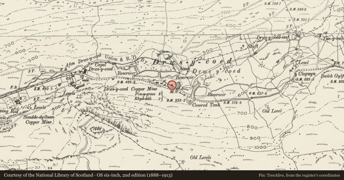 Ordnance Survey six-inch map, 2nd edition (1888–1913) covering the location of Drws y Coed Copper Mine, Llanllyfni, Gwynedd, with a pin at the register's coordinates