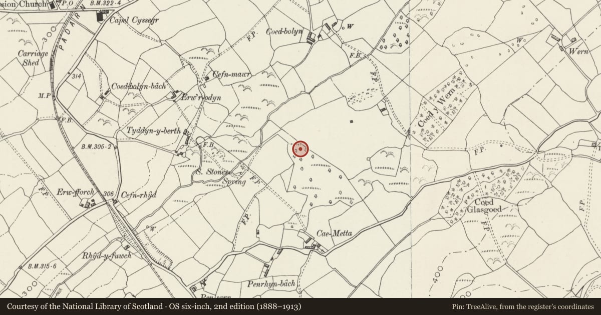 Ordnance Survey six-inch map, 2nd edition (1888–1913) covering the location of Cae Metta Hut Group, Llanddeiniolen, Gwynedd, with a pin at the register's coordinates