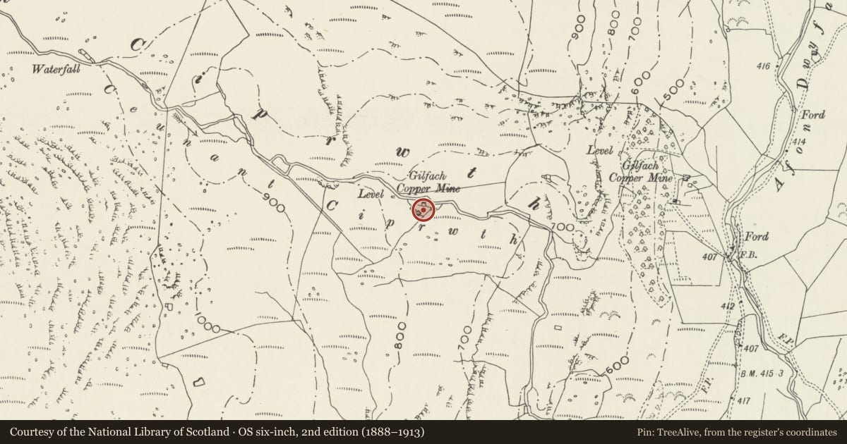 Ordnance Survey six-inch map, 2nd edition (1888–1913) covering the location of Gilfach Copper Mine, Dolbenmaen, Gwynedd, with a pin at the register's coordinates