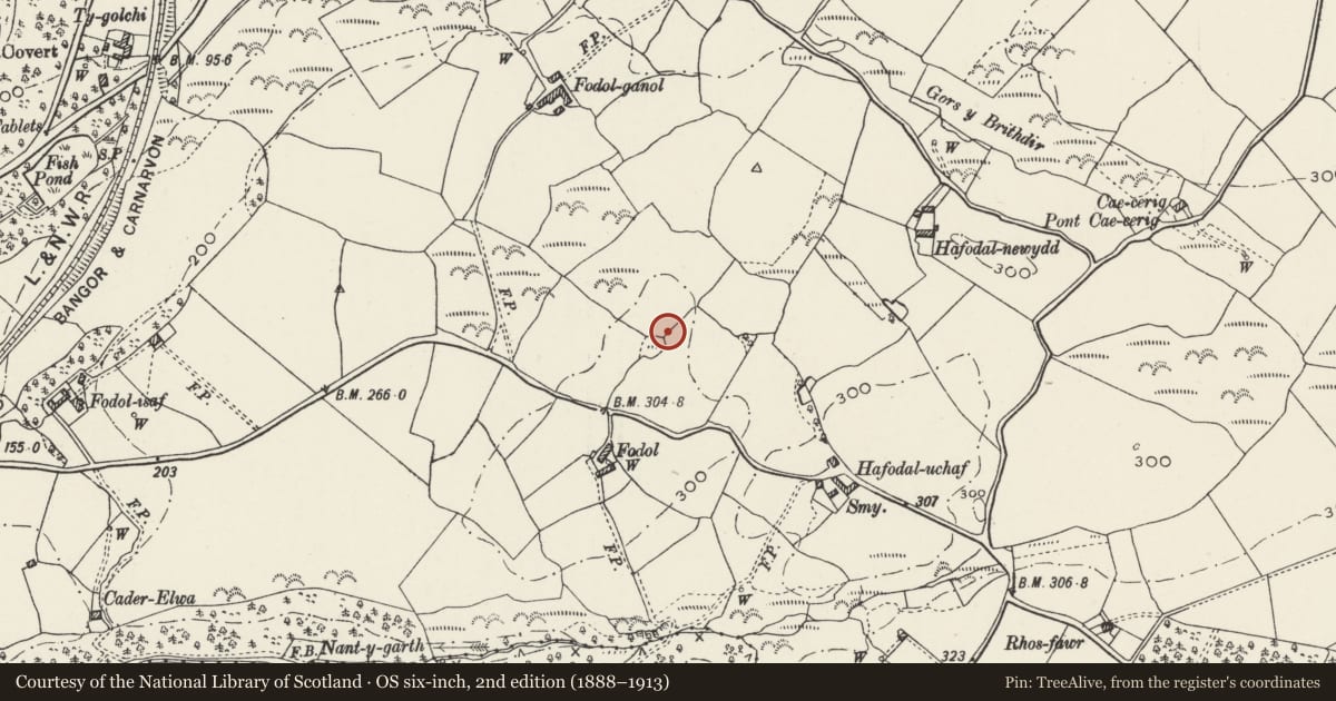 Ordnance Survey six-inch map, 2nd edition (1888–1913) covering the location of Fodol Ganol Enclosed Hut Group, Pentir, Gwynedd, with a pin at the register's coordinates