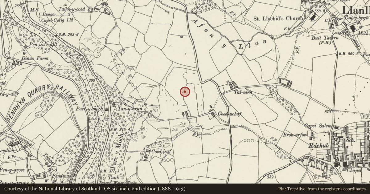 Ordnance Survey six-inch map, 2nd edition (1888–1913) covering the location of Coed Uchaf Hut Group, Llanllechid, Gwynedd, with a pin at the register's coordinates