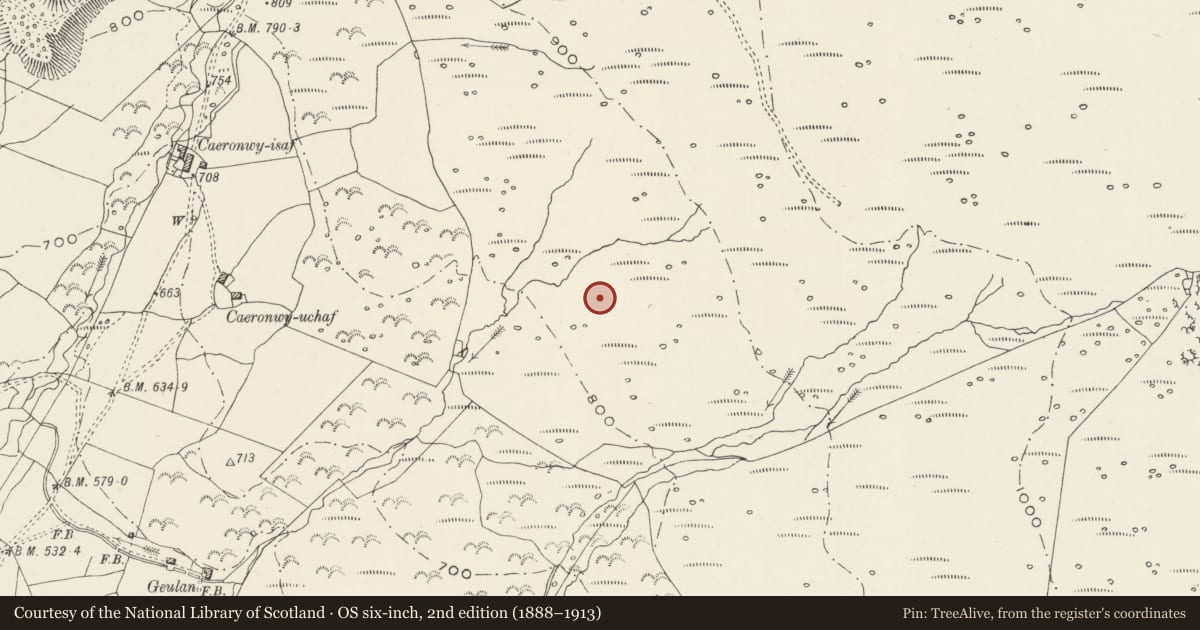 Ordnance Survey six-inch map, 2nd edition (1888–1913) covering the location of Huts & Field Systems NE of Nantlle, Llandwrog, Gwynedd, with a pin at the register's coordinates