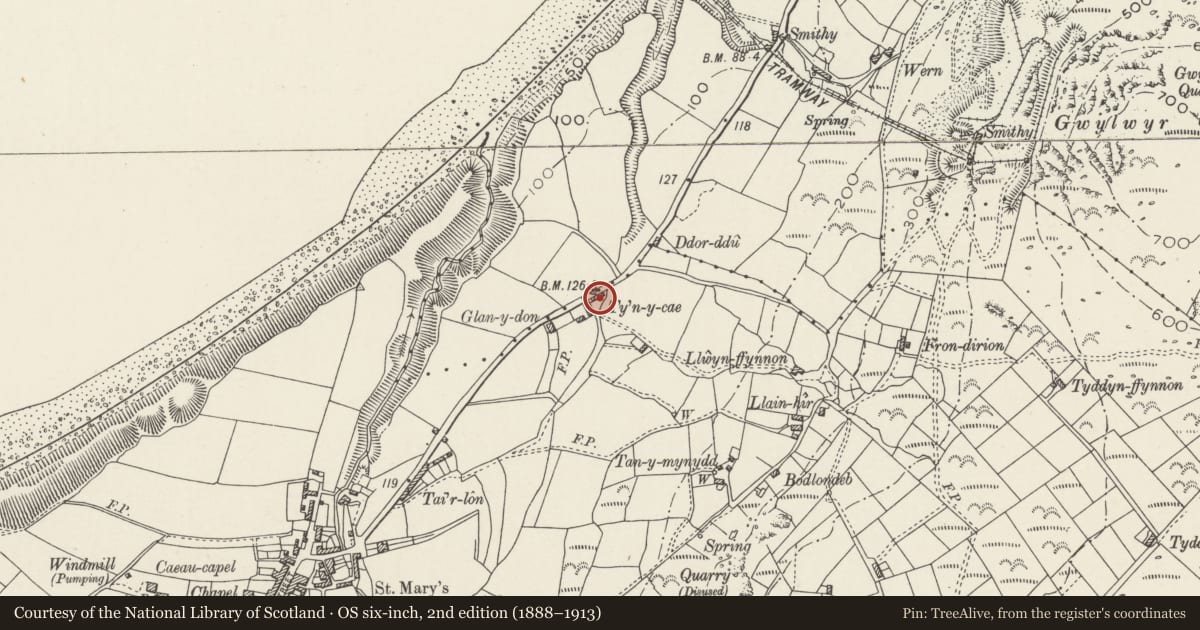 Ordnance Survey six-inch map, 2nd edition (1888–1913) covering the location of Cross Slab Built into Farm Building Ty'n-y-Cae, Nefyn, Gwynedd, with a pin at the register's coordinates