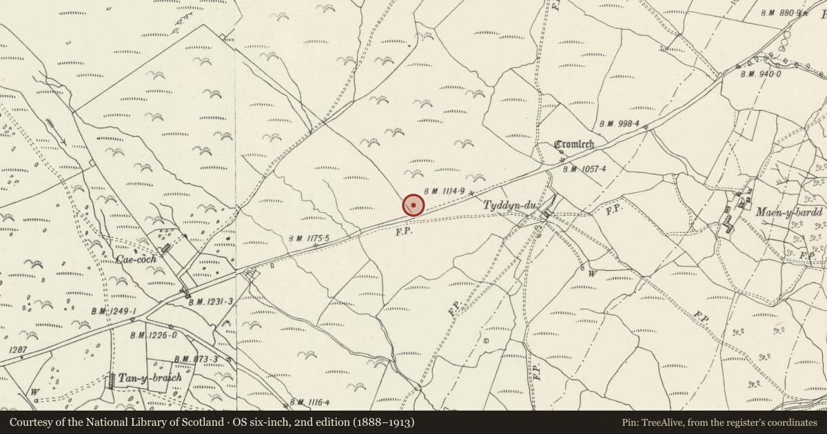 Ordnance Survey six-inch map, 2nd edition (1888–1913) covering the location of Early Fields & Dwellings Nr Maen y Bardd, Caerhun, Conwy, with a pin at the register's coordinates