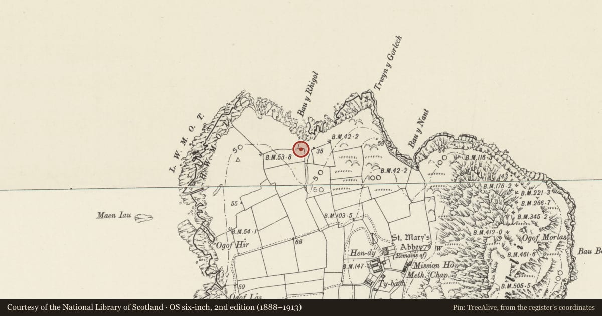 Ordnance Survey six-inch map, 2nd edition (1888–1913) covering the location of Long Houses, Enclosures & Field Systems, Bardsey Island, Aberdaron, Gwynedd, with a pin at the register's coordinates
