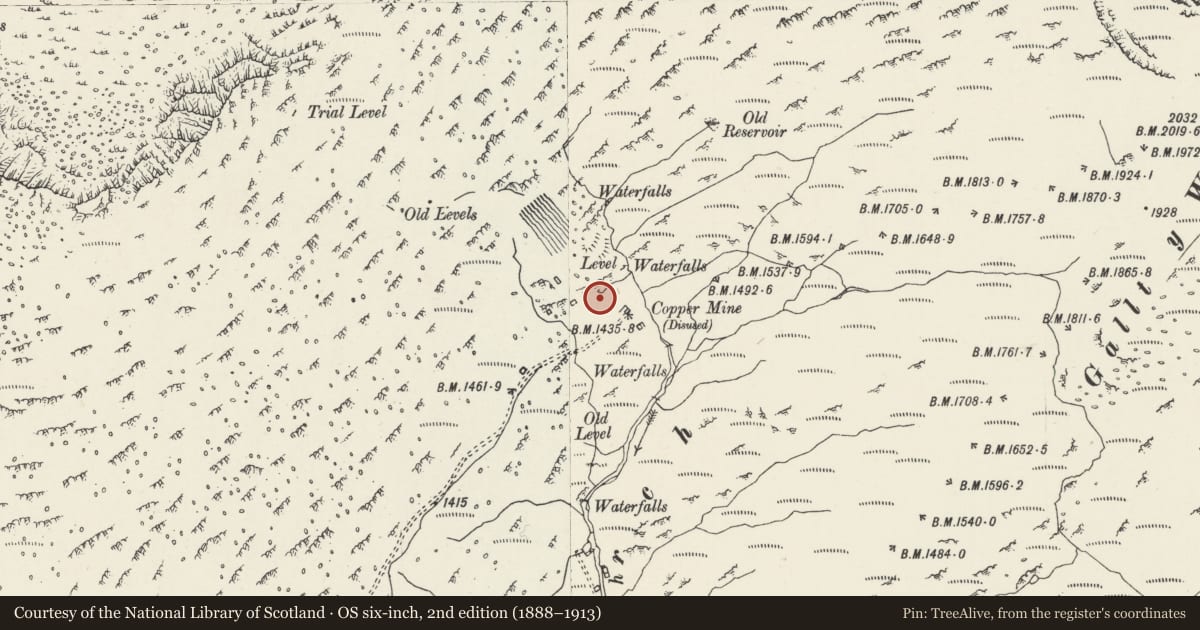 Ordnance Survey six-inch map, 2nd edition (1888–1913) covering the location of Cwm Erch Copper Mine, Beddgelert, Gwynedd, with a pin at the register's coordinates