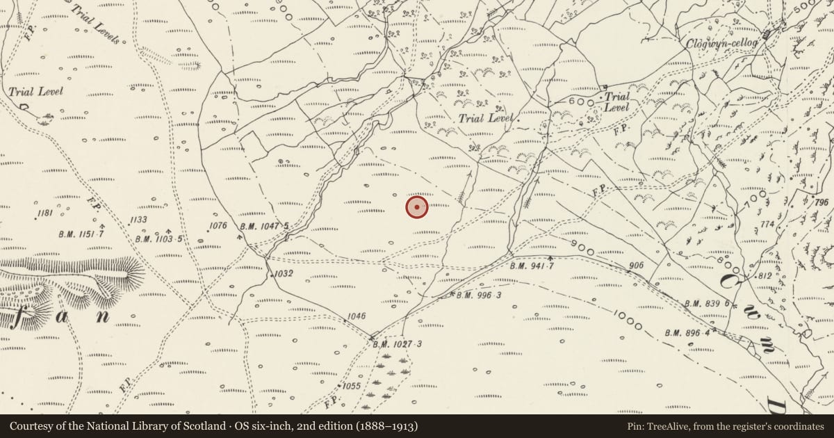 Ordnance Survey six-inch map, 2nd edition (1888–1913) covering the location of Ty Coch Prehistoric Settlement, Betws Garmon, Gwynedd, with a pin at the register's coordinates