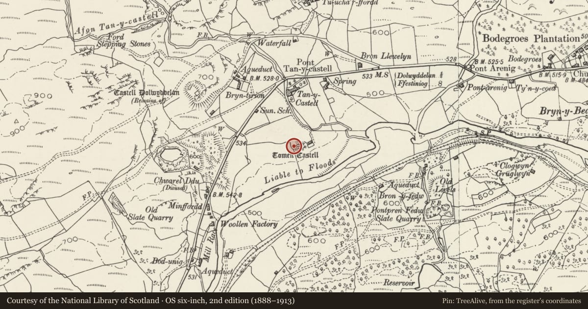 Ordnance Survey six-inch map, 2nd edition (1888–1913) covering the location of Tomen y Castell, Dolwyddelan, Conwy, with a pin at the register's coordinates