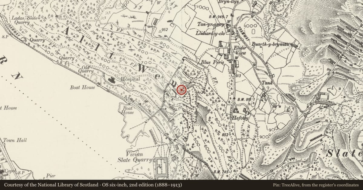 Ordnance Survey six-inch map, 2nd edition (1888–1913) covering the location of Vivian Slate Quarry, Inclines, Walia & associated structures, Llanddeiniolen, Gwynedd, with a pin at the register's coordinates