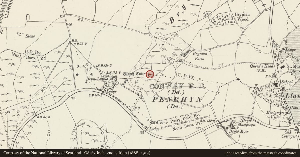 Ordnance Survey six-inch map, 2nd edition (1888–1913) covering the location of Bryniau Tower, Conwy, with a pin at the register's coordinates