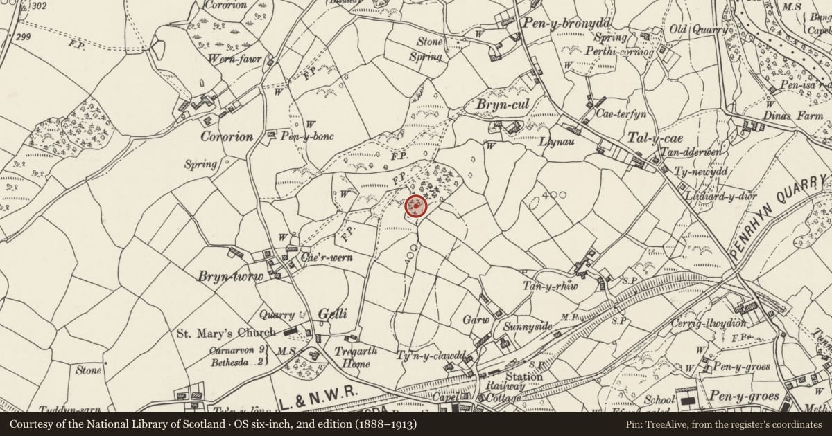 Ordnance Survey six-inch map, 2nd edition (1888–1913) covering the location of Parc Gelli Hut Group and Ancient Fields, Llandygai, Gwynedd, with a pin at the register's coordinates