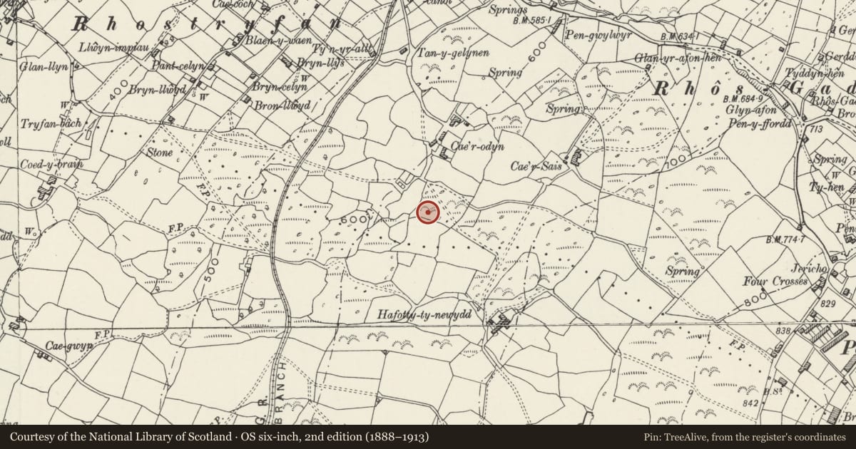 Ordnance Survey six-inch map, 2nd edition (1888–1913) covering the location of Cae'r Odyn Unenclosed Hut, Llanwnda, Gwynedd, with a pin at the register's coordinates