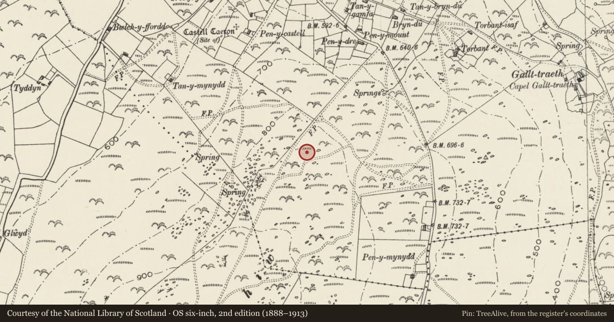 Ordnance Survey six-inch map, 2nd edition (1888–1913) covering the location of Mynydd Rhiw Stone Axe Factory, Botwnnog, Gwynedd, with a pin at the register's coordinates