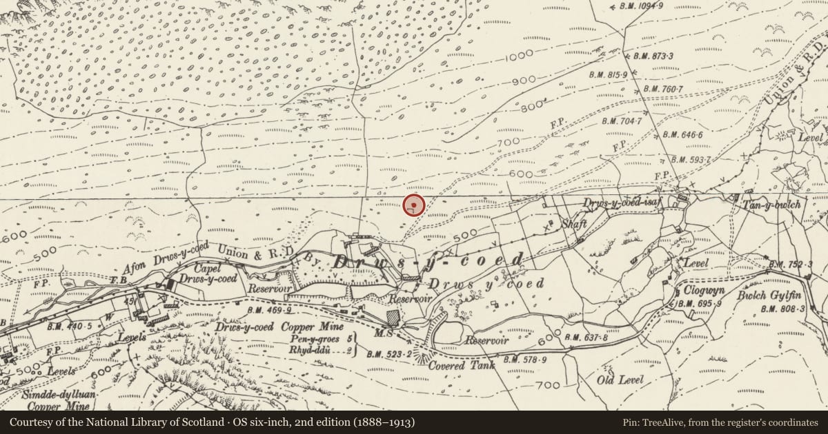 Ordnance Survey six-inch map, 2nd edition (1888–1913) covering the location of Drws y Coed Prehistoric Settlement, Llanllyfni, Gwynedd, with a pin at the register's coordinates