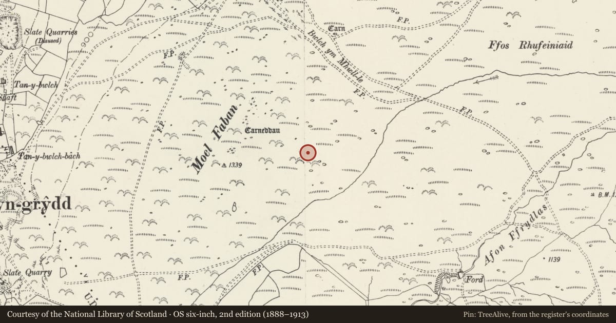 Ordnance Survey six-inch map, 2nd edition (1888–1913) covering the location of Settlements & Enclosures on S & E sides of Moel Faban, Llanllechid, Gwynedd, with a pin at the register's coordinates